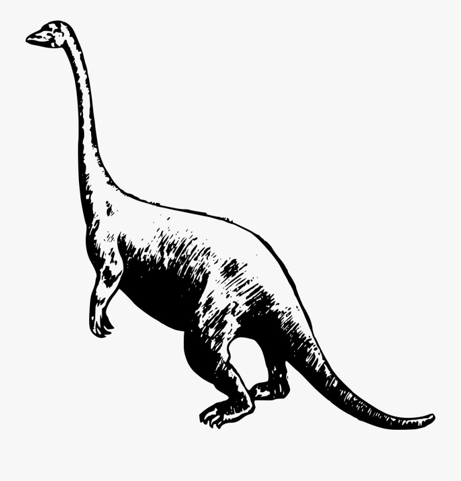 Basic Dinosaur - Dinosaur, Transparent Clipart