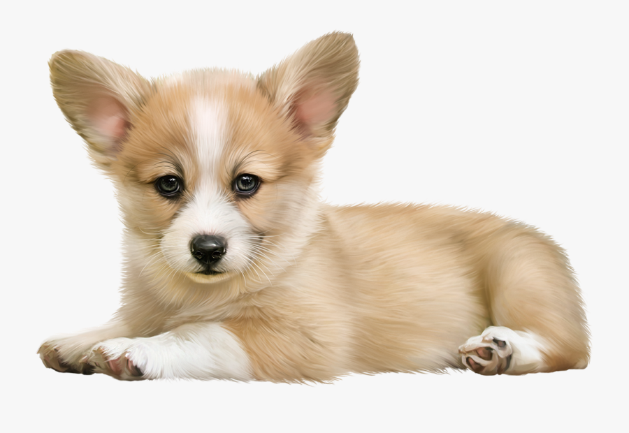 Transparent Corgi Clipart - Pembroke Welsh Corgi, Transparent Clipart