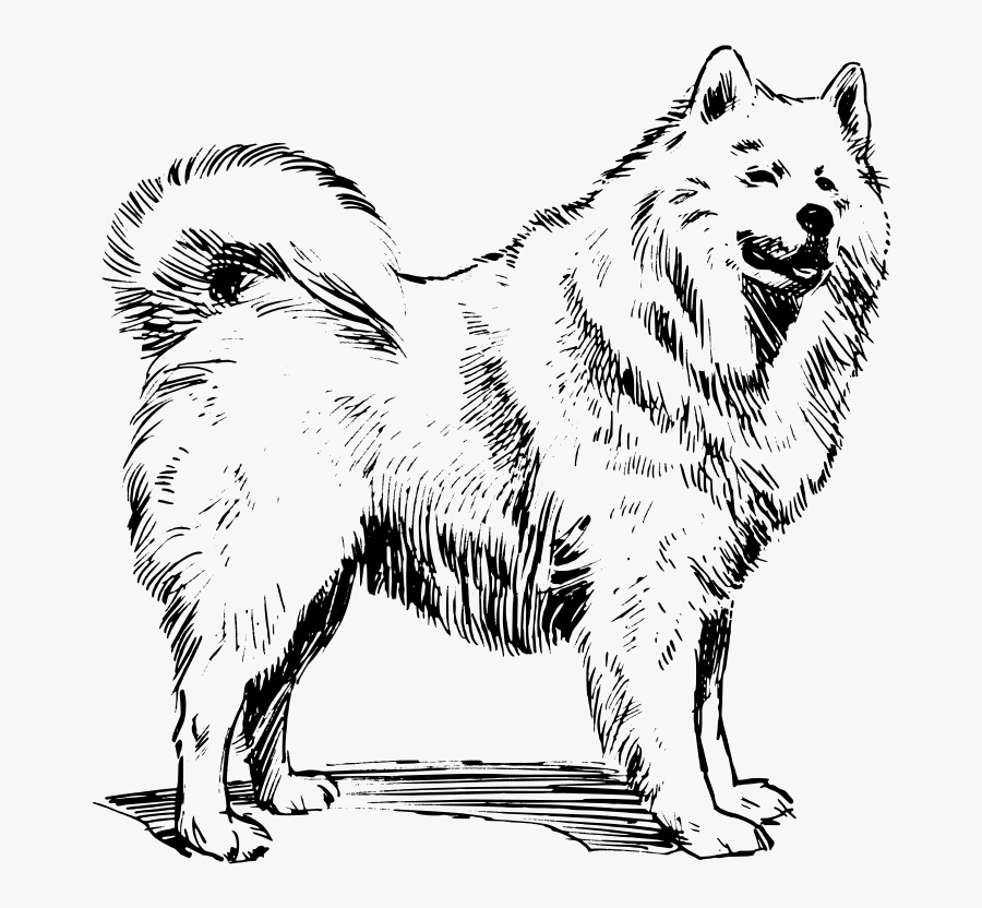 Line Art,paw,monochrome Photography - Картинки За Оцветяване На Куче, Transparent Clipart