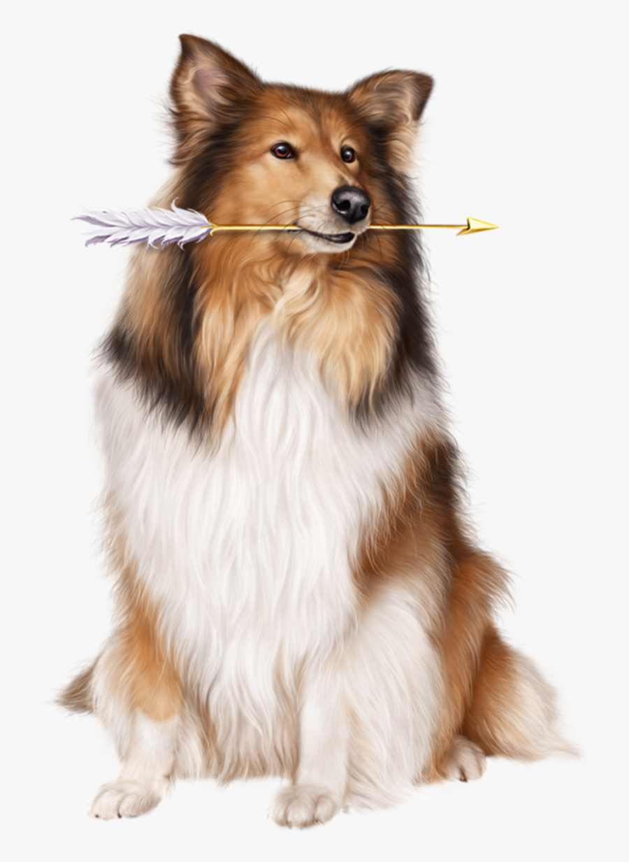 Christmas Collie Transparent, Transparent Clipart