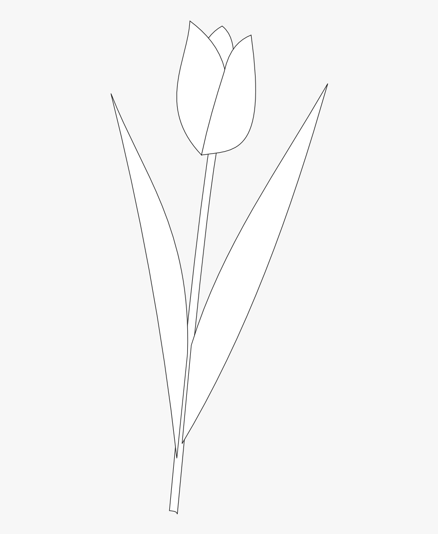 Bunga Tulip Hitam Putih Logo Free Transparent Clipart Clipartkey