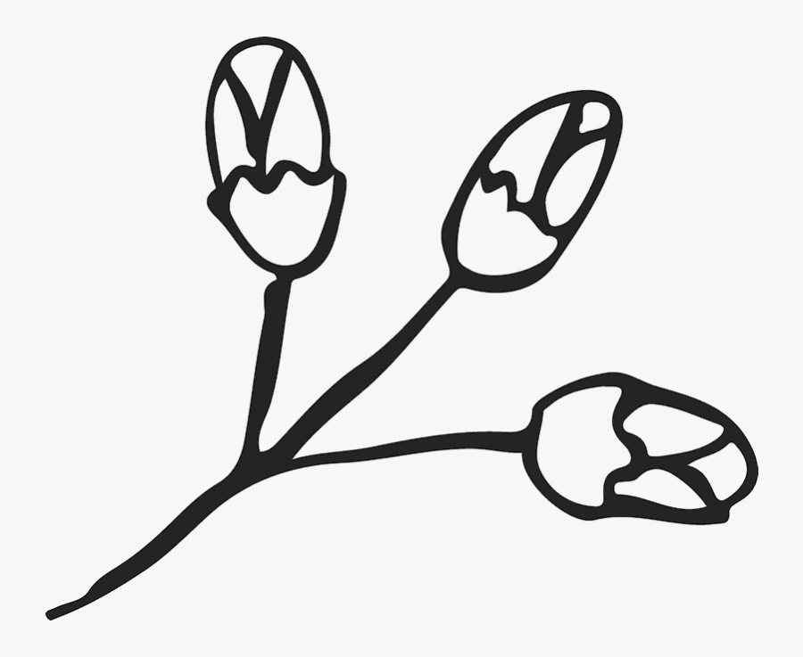 Line Art, Transparent Clipart