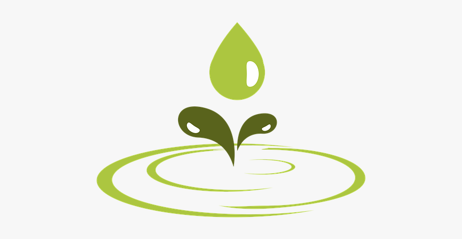 Eco Green Water Drop Vector - Biophysical Environment, Transparent Clipart