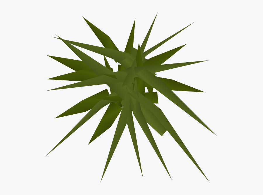 The Runescape Wiki - Runescape Weeds, Transparent Clipart