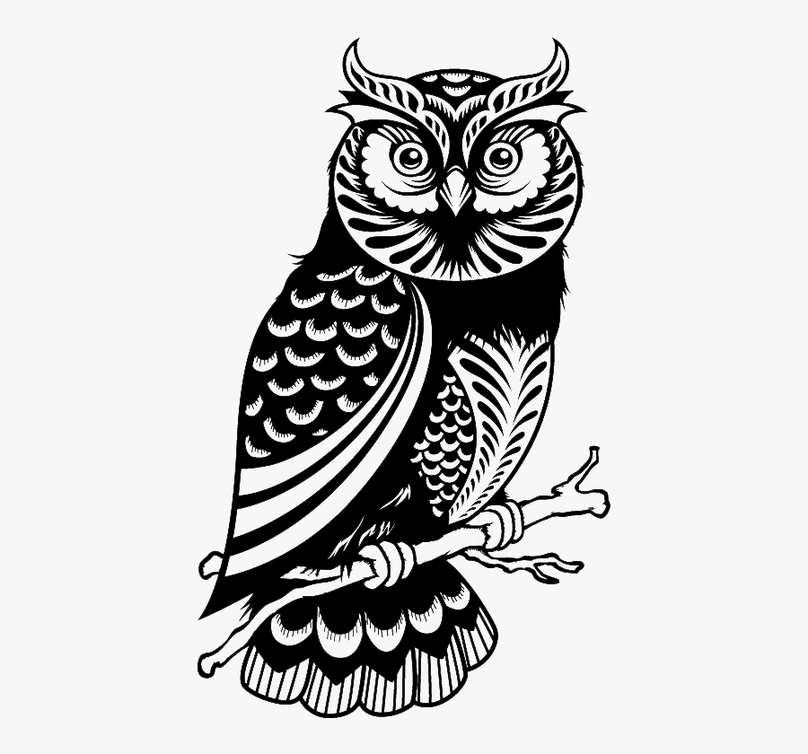 Wise Owl Png Black And White - Buho Blanco Y Negro, Transparent Clipart