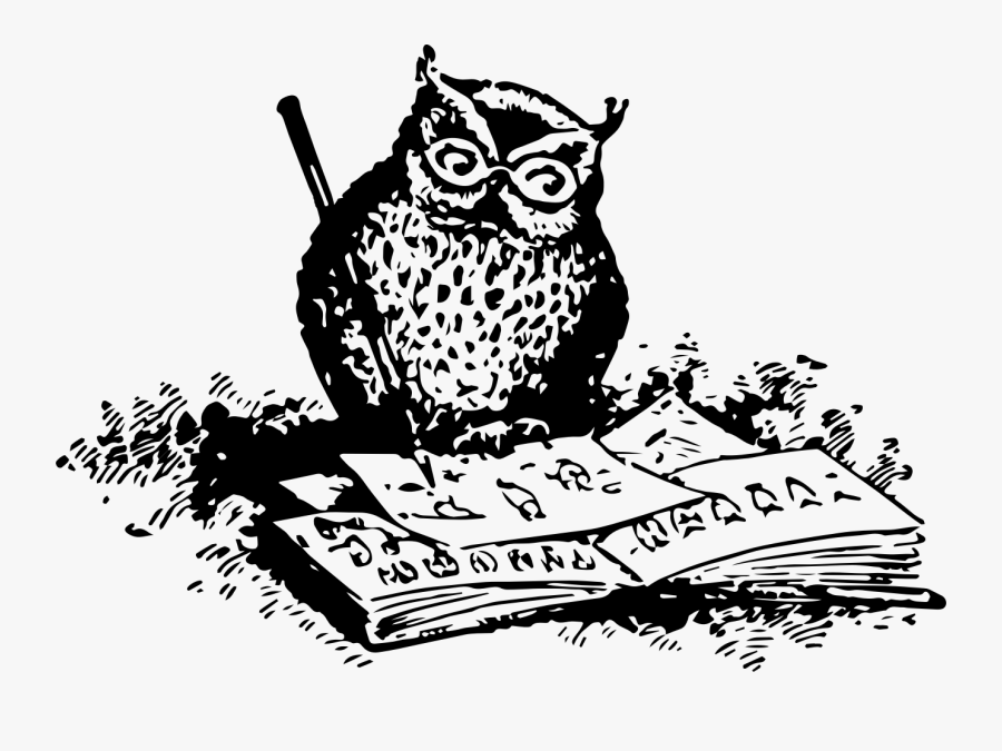 Owl,art,monochrome Photography - Png Owl Drawing, Transparent Clipart