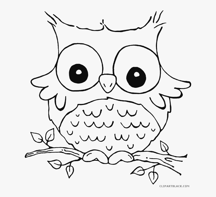 Owl Coloring Pages Clipart - Animal Coloring Sheets Printables, Transparent Clipart