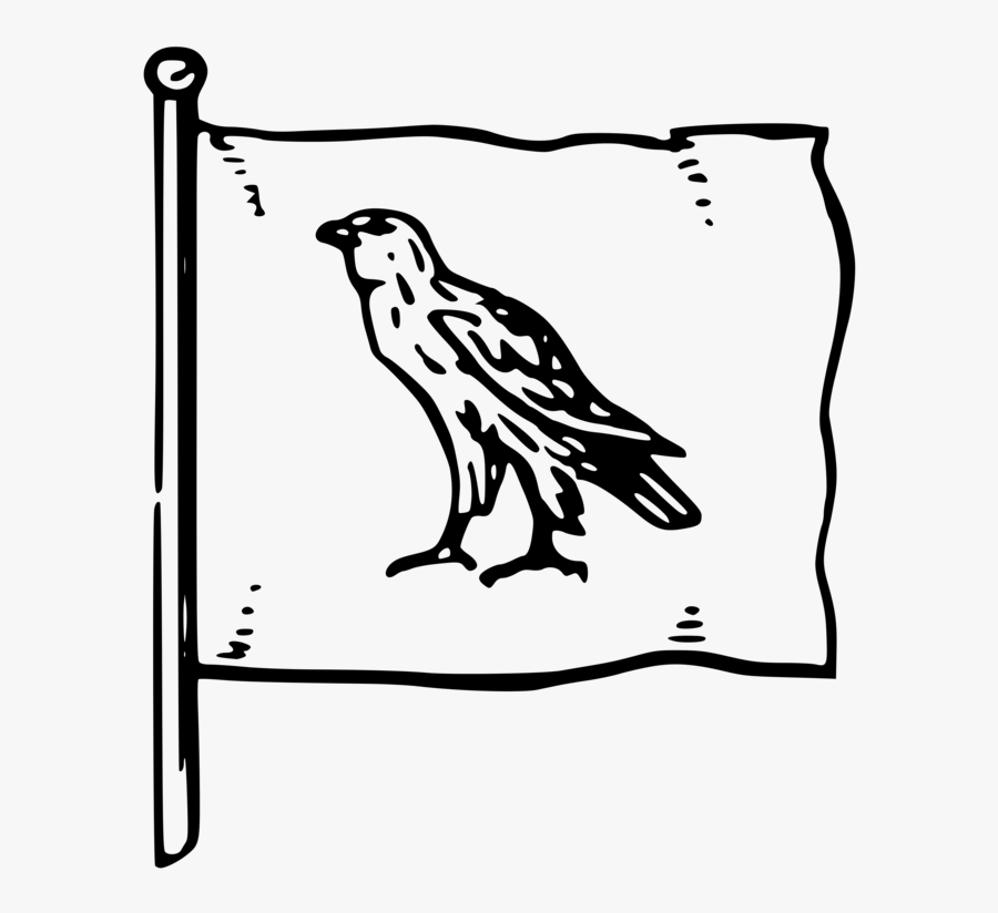 Owl,art,monochrome Photography - Drawing, Transparent Clipart