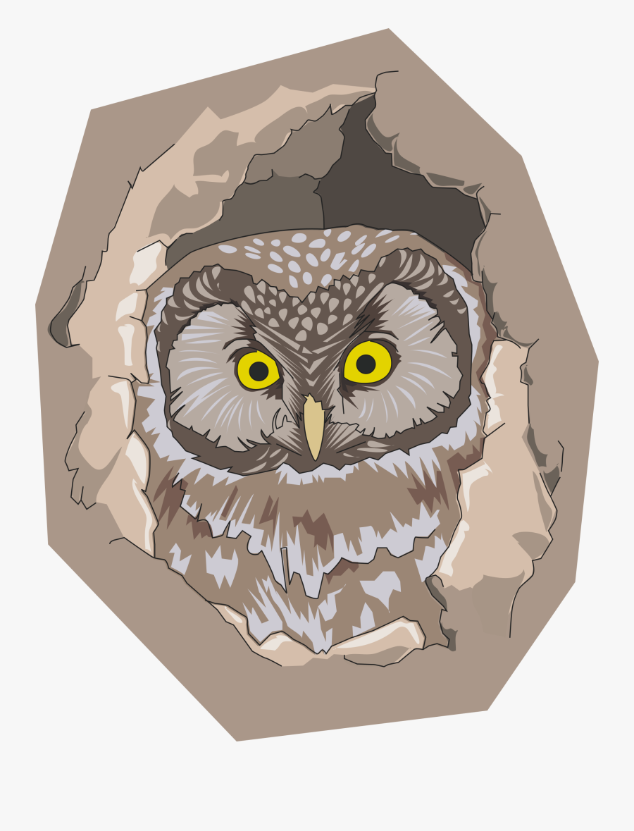 Transparent Owl Cartoon Png - Owl In A Hole Of Tree Colouring Page, Transparent Clipart
