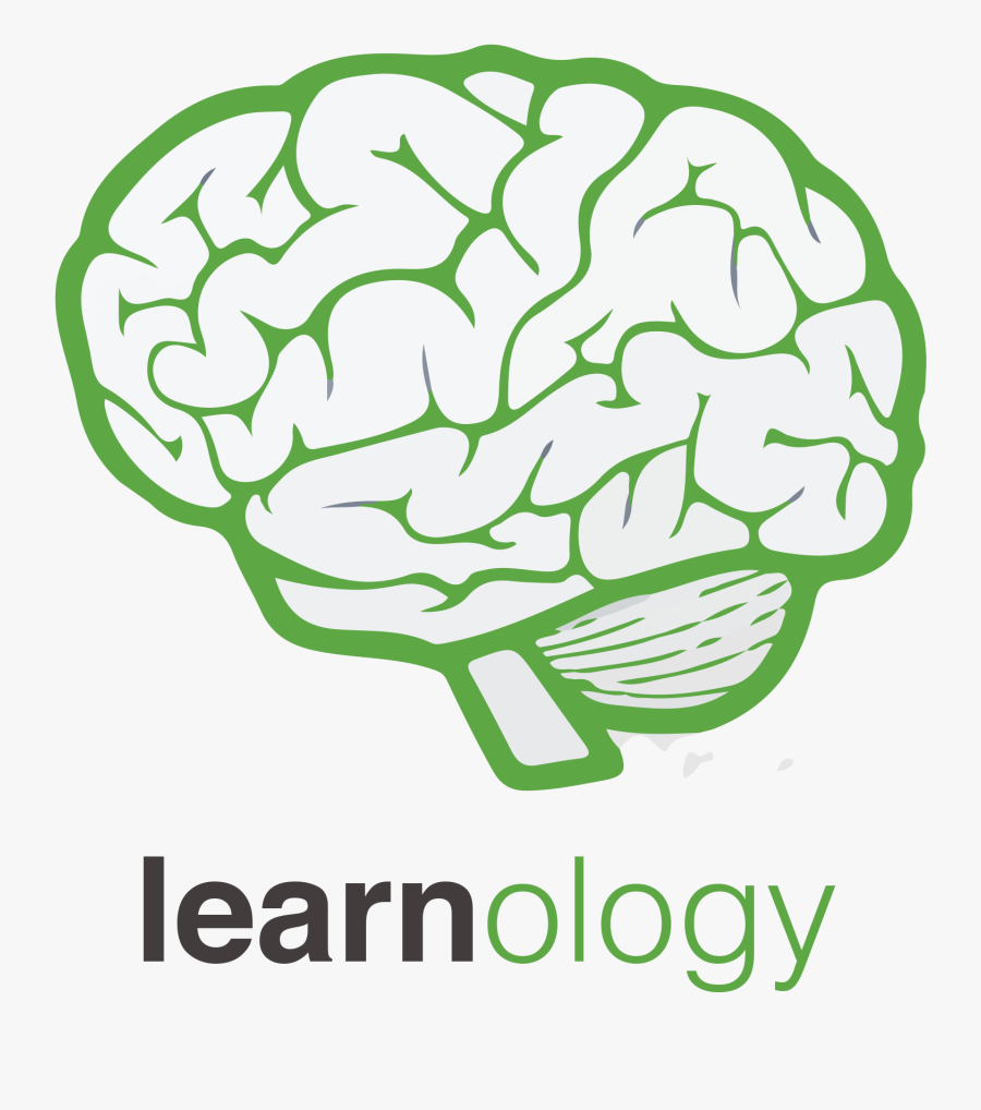 Transparent Thinking Brain Clipart For Kids - Biological Clock Brain Clipart, Transparent Clipart