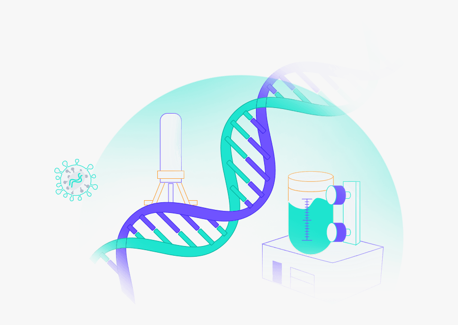 Illustration, Transparent Clipart