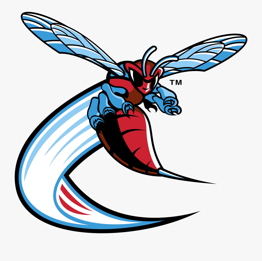 Delaware State Hornets Logo Png Transparent - Delaware State Athletics Logo, Transparent Clipart