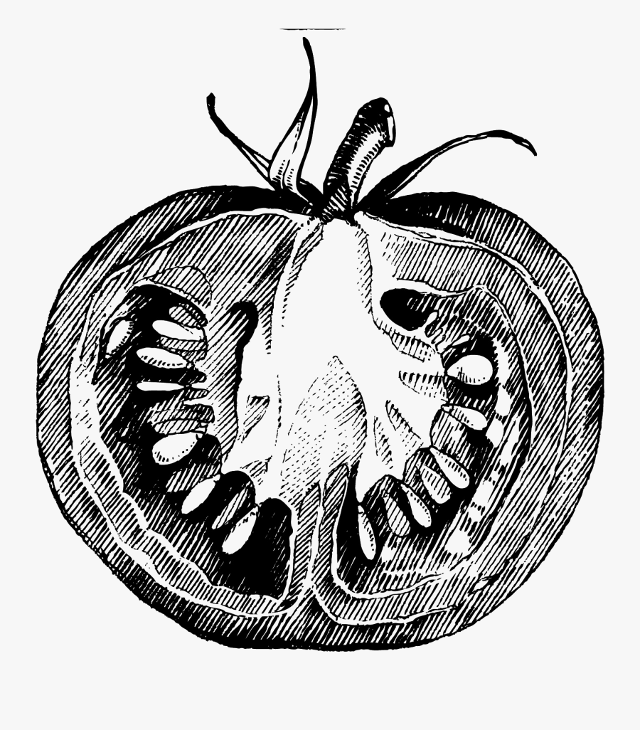 Well Nourished List Food - Tomato Sketch Png, Transparent Clipart