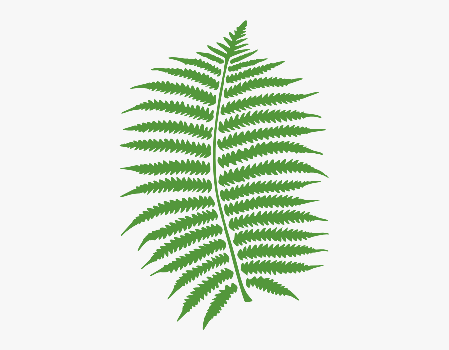 Fern - Clip Art Red Fern, Transparent Clipart