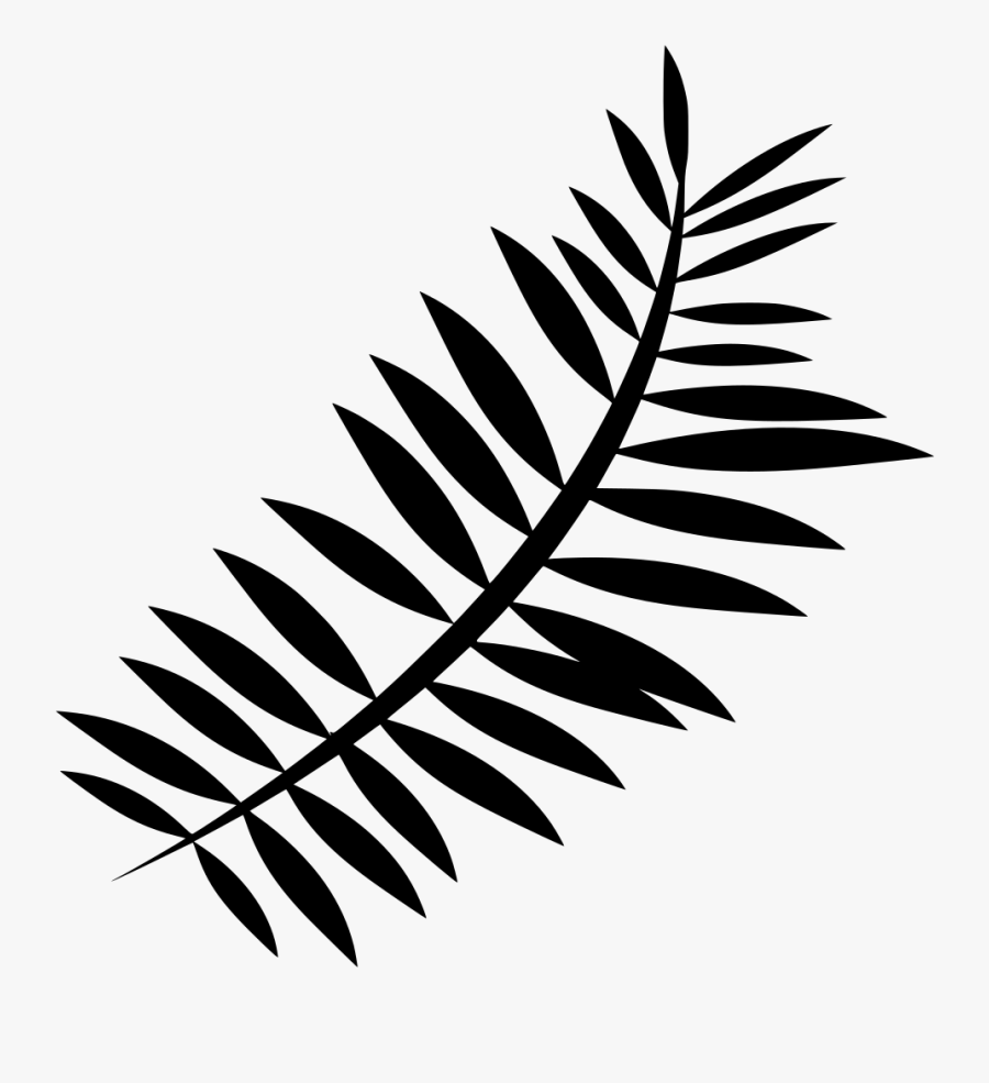 Fern Clip Art Png - Clipart Fern Png, Transparent Clipart