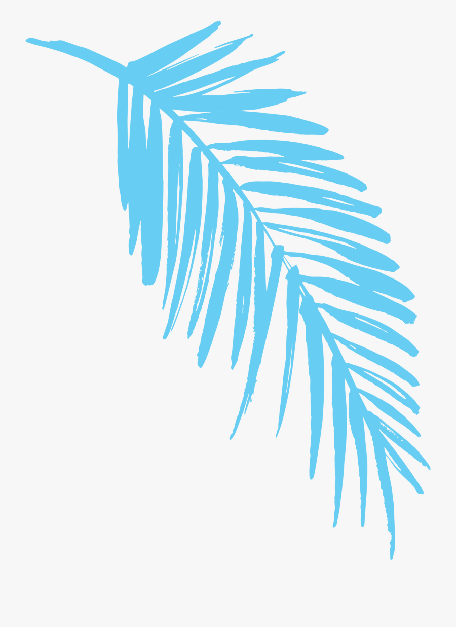 2019 Light Blue Fern Leaf - Pink Palm Leaf Png, Transparent Clipart
