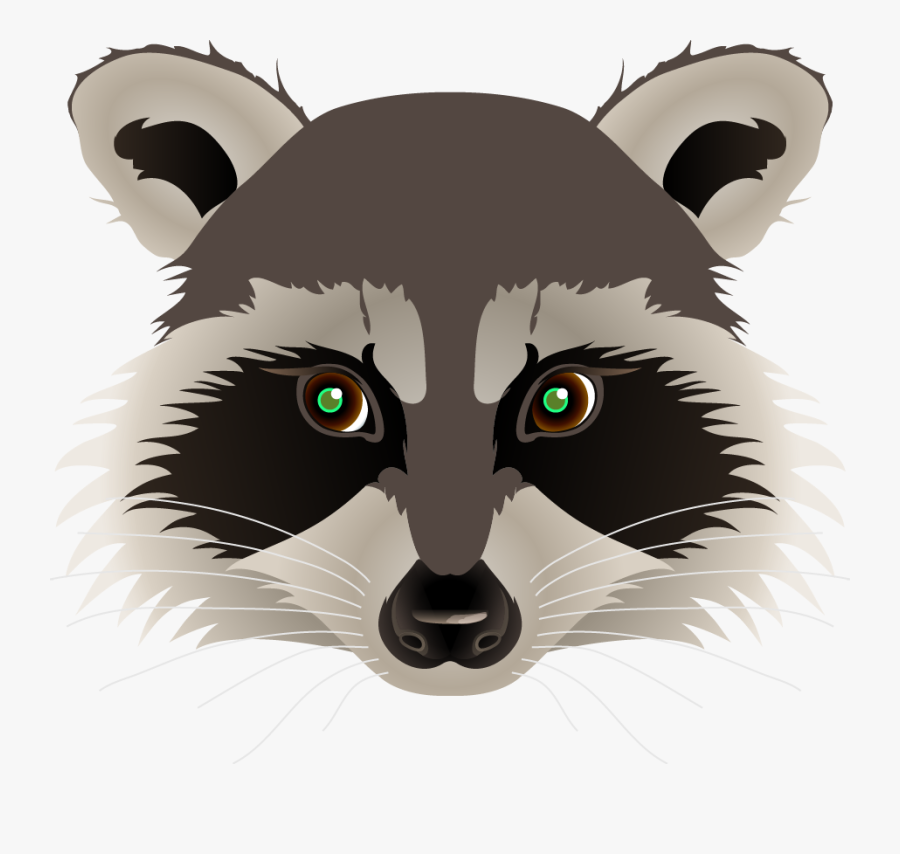Transparent Png Drawings - Raccoon Head Transparent Background, Transparent Clipart