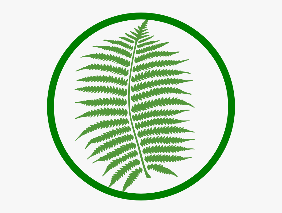 Clip Art Red Fern, Transparent Clipart