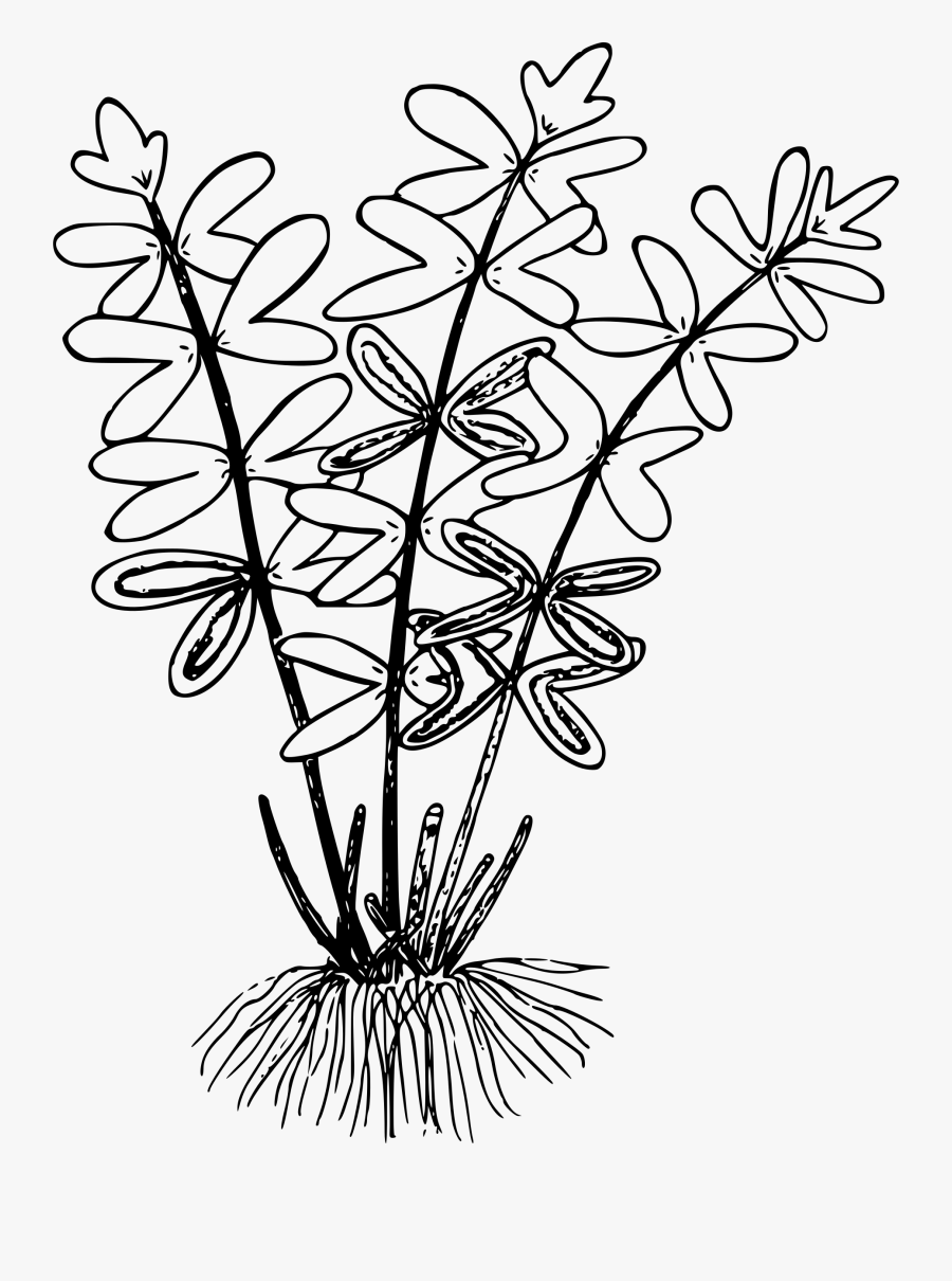 Clip Art, Transparent Clipart