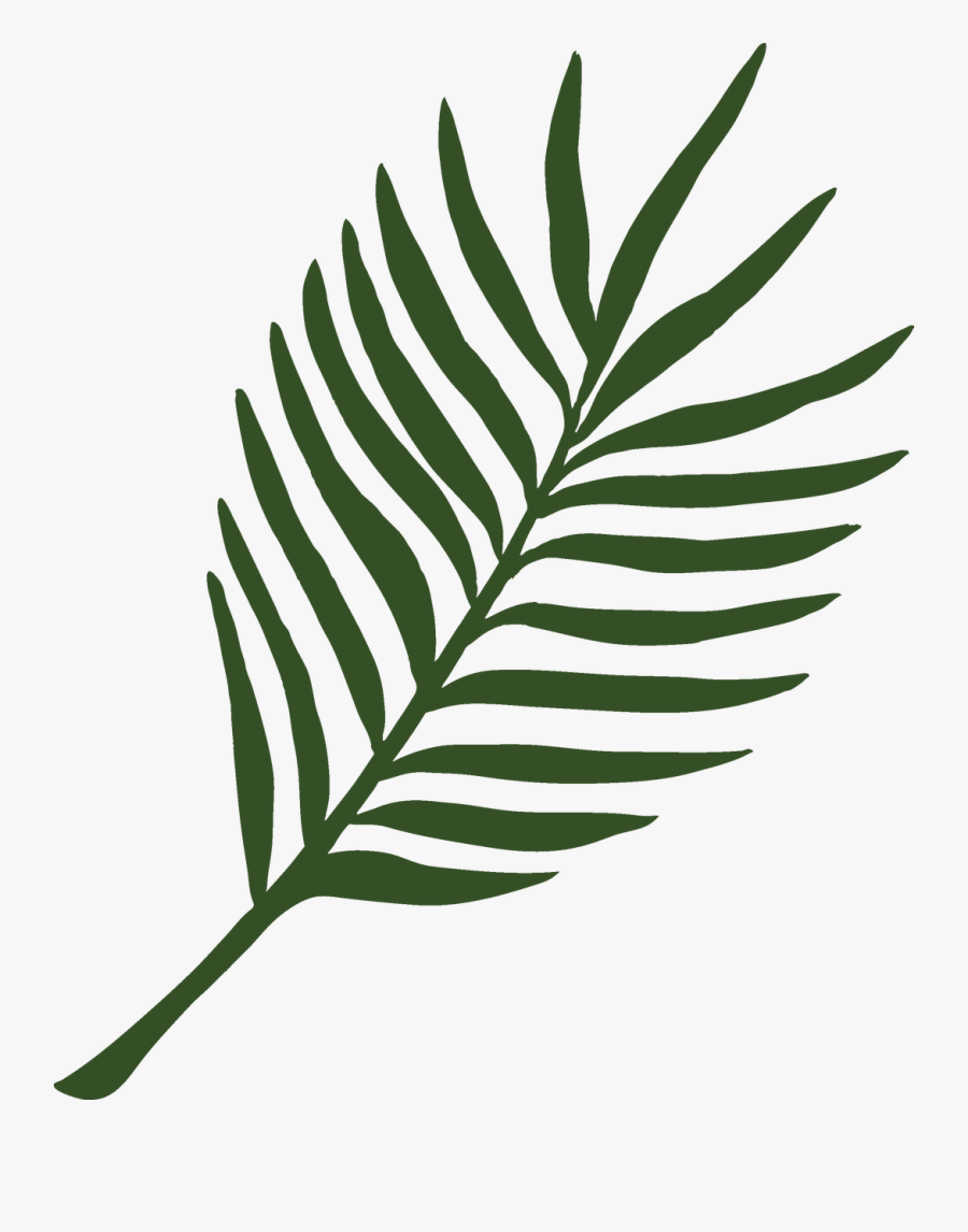 Animal Safari Fern Svg Cut File - Illustration, Transparent Clipart