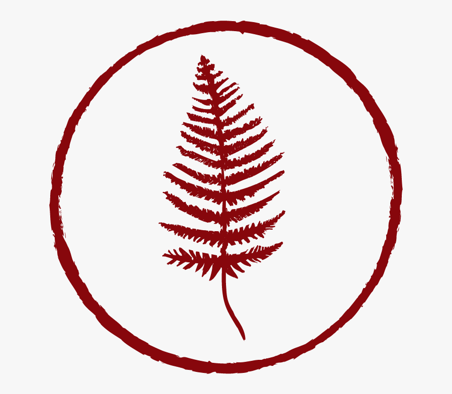 Red Fern Clip Art, Transparent Clipart