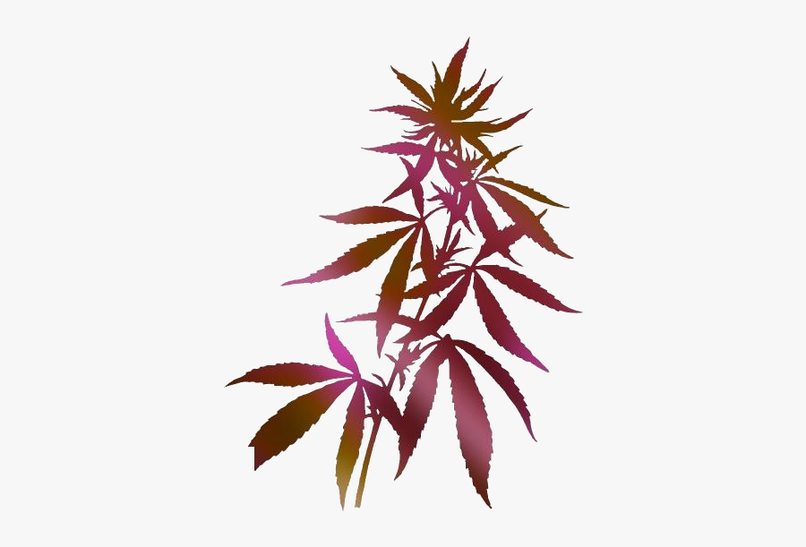 Transparent Fern Clipart, Fern Png Image - Black And White Hemp Plant, Transparent Clipart