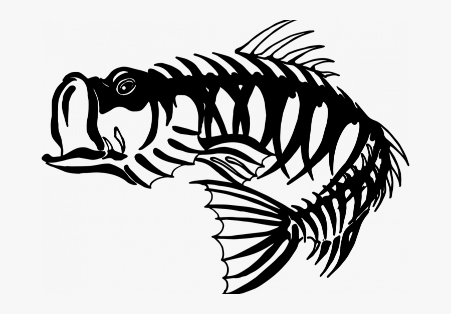 Download Largemouth Bass Skeleton Free Transparent Clipart Clipartkey