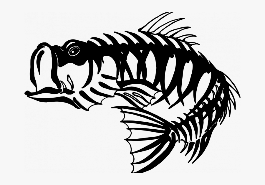 Largemouth Bass Skeleton, Transparent Clipart