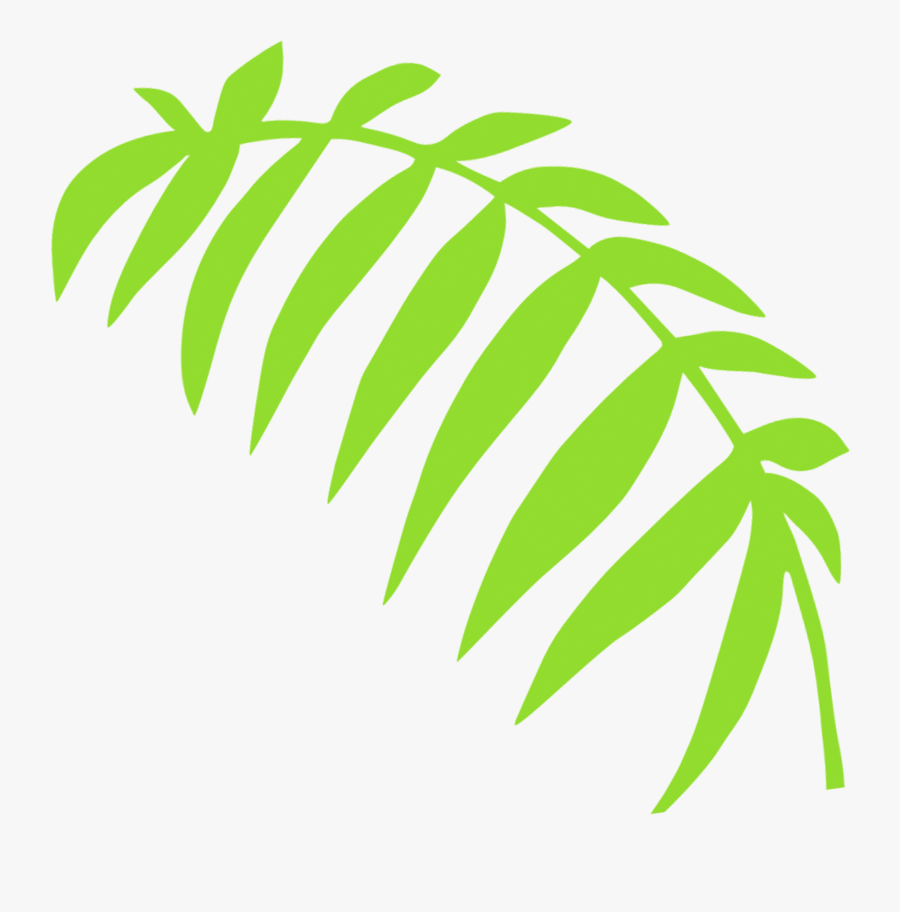 Fern Clipart Certificate, Transparent Clipart