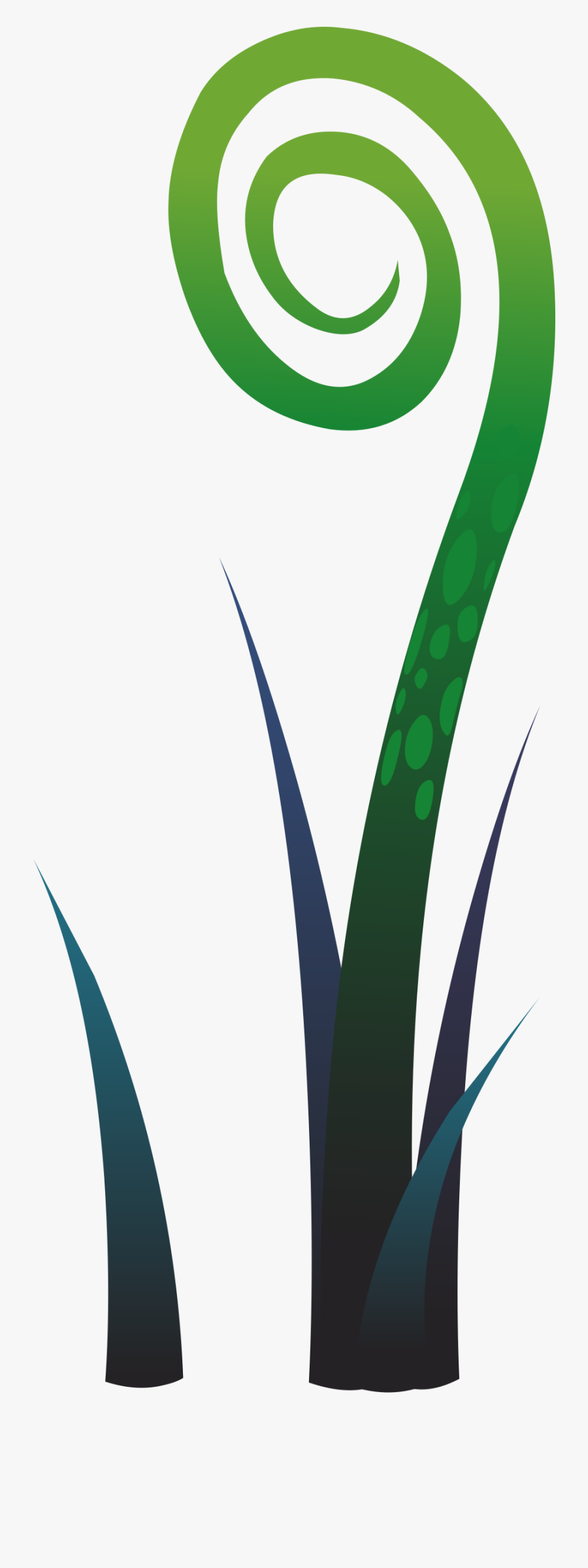 Ilmenskie Plant Fern 4 Clip Arts - พืช น้ำ Png, Transparent Clipart