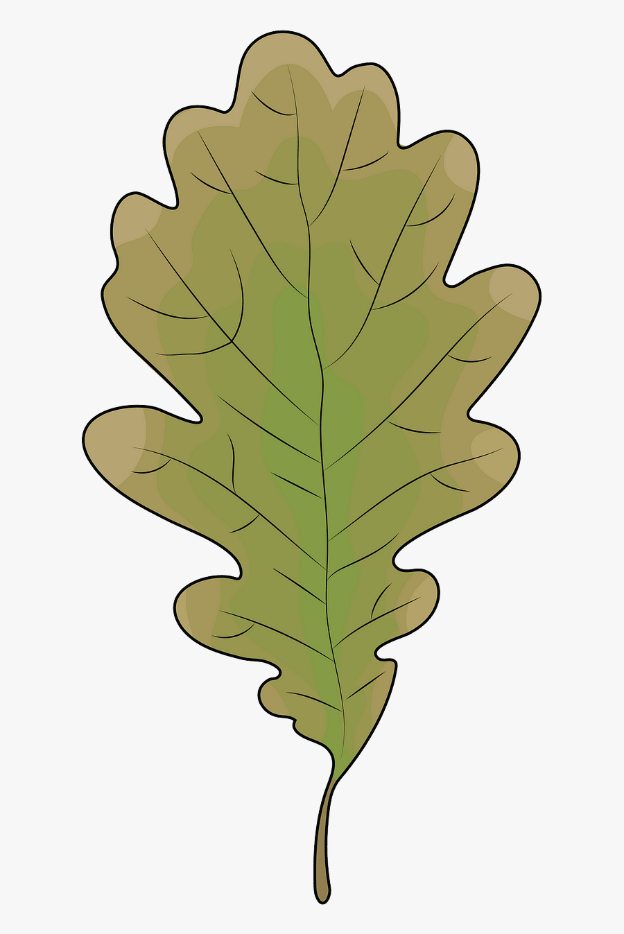 Illustration, Transparent Clipart