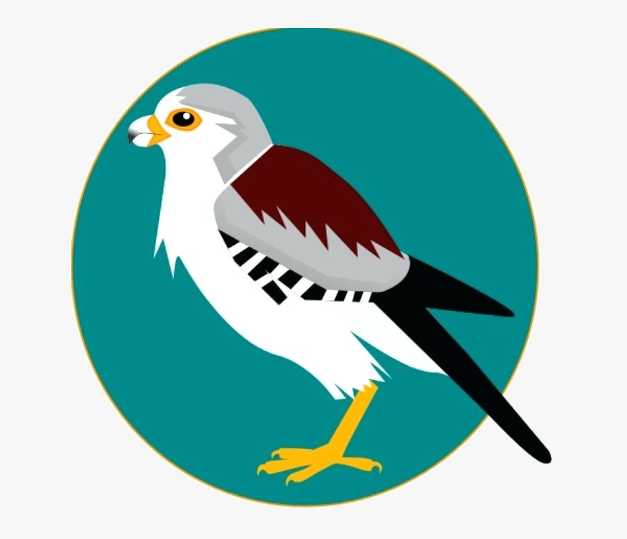 Atlanta Falcons Falcon Clipart Daily Art On Twitter - Cartoon, Transparent Clipart
