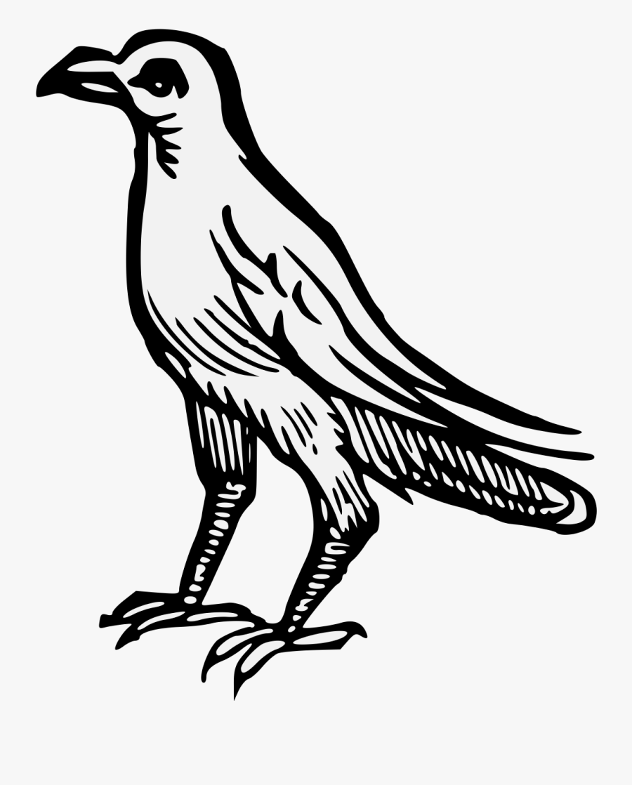 Illustration, Transparent Clipart