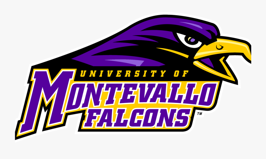 Falcon Basketball Clipart - University Of Montevallo, Transparent Clipart