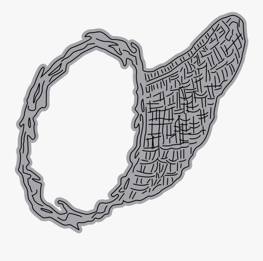 Garden Notes - Cornucopia - Drawing, Transparent Clipart