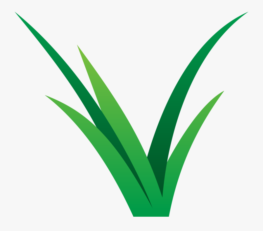 Vibrant Lawn Care, Transparent Clipart