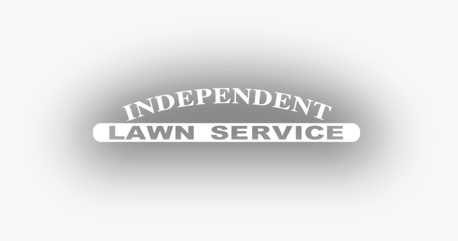 Graphics, Transparent Clipart