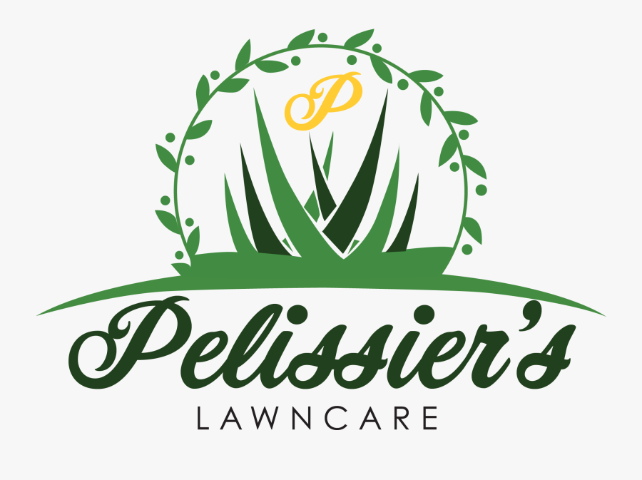 Picture - Illustration, Transparent Clipart