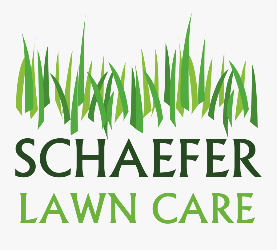 Quote, Transparent Clipart