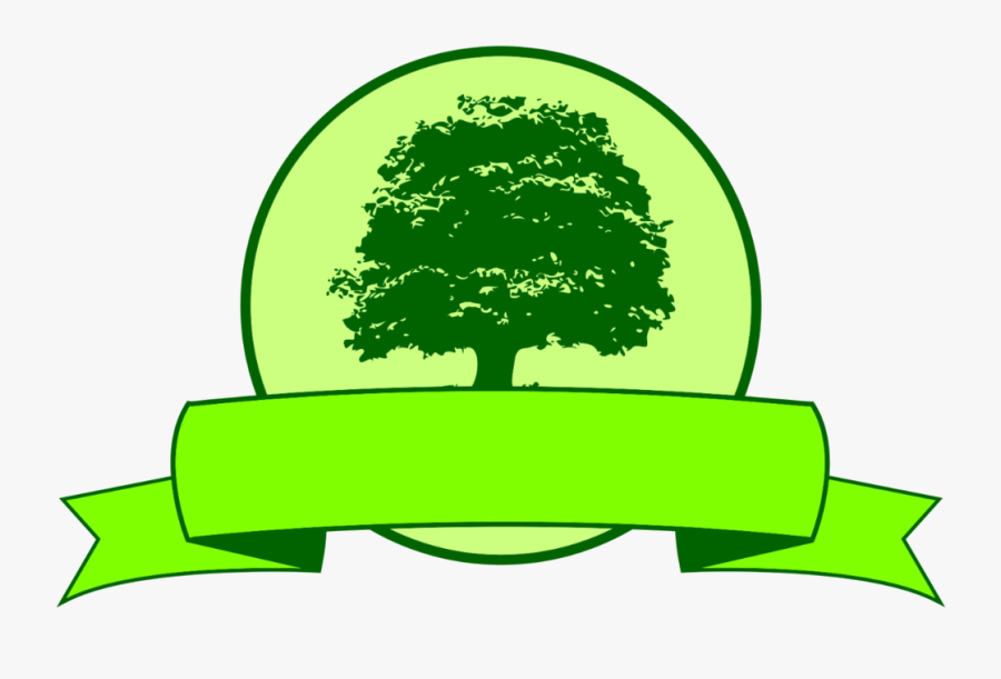 Ez Lawn Care Llc - Oak Tree Vector, Transparent Clipart