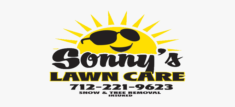 Graphic Design, Transparent Clipart