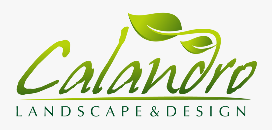 Logo - Calligraphy, Transparent Clipart