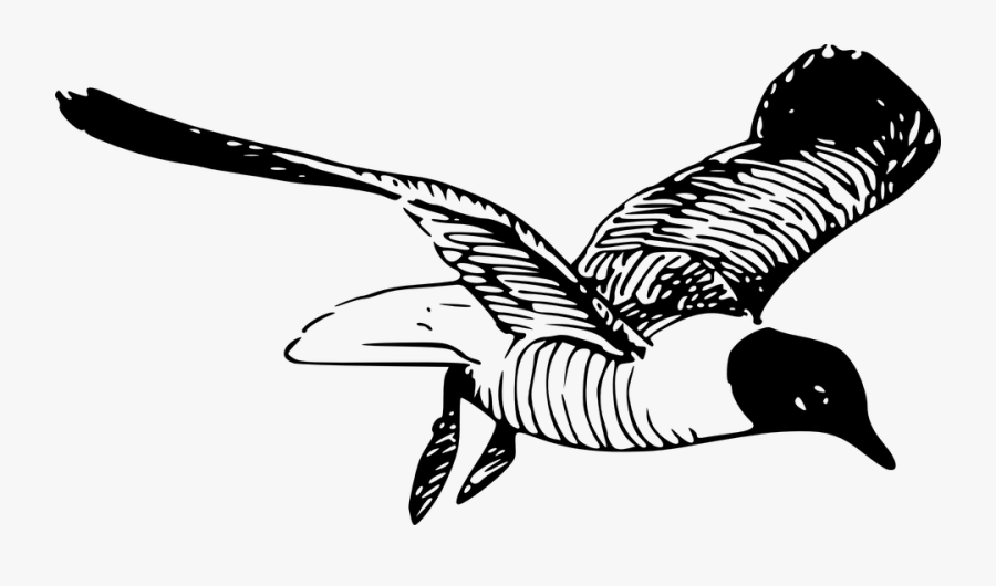 Laughing Gull Tattoo, Transparent Clipart
