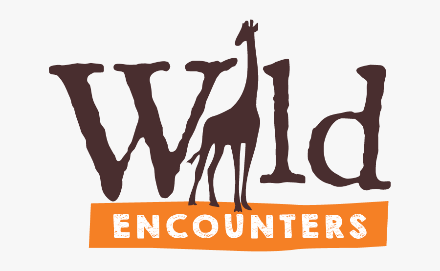 Transparent Zoo Animals Png - Giraffe, Transparent Clipart