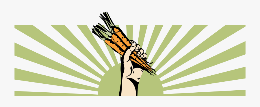 This Is An Image Of A Hand Holding Up Carrots - White, Transparent Clipart