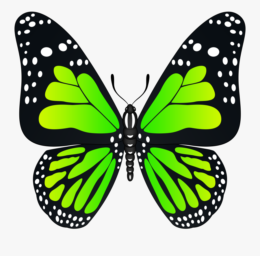 Butterflies Clipart Green, Transparent Clipart