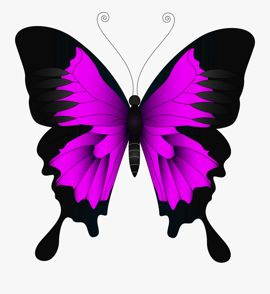 Butterfly Clipart Pink - Purple Butterfly, Transparent Clipart