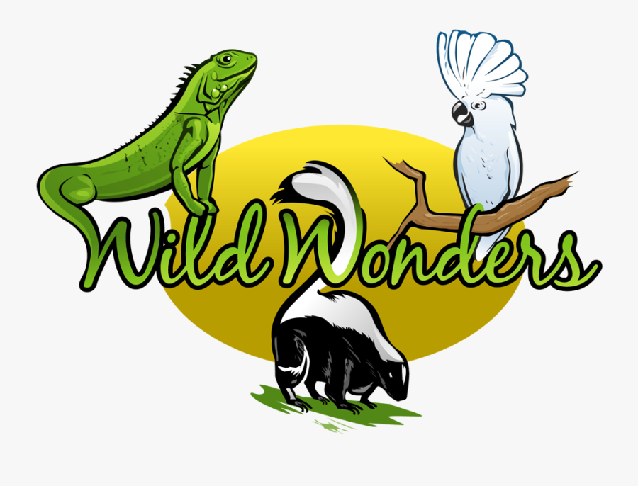 Logo - Wild Wonders, Transparent Clipart