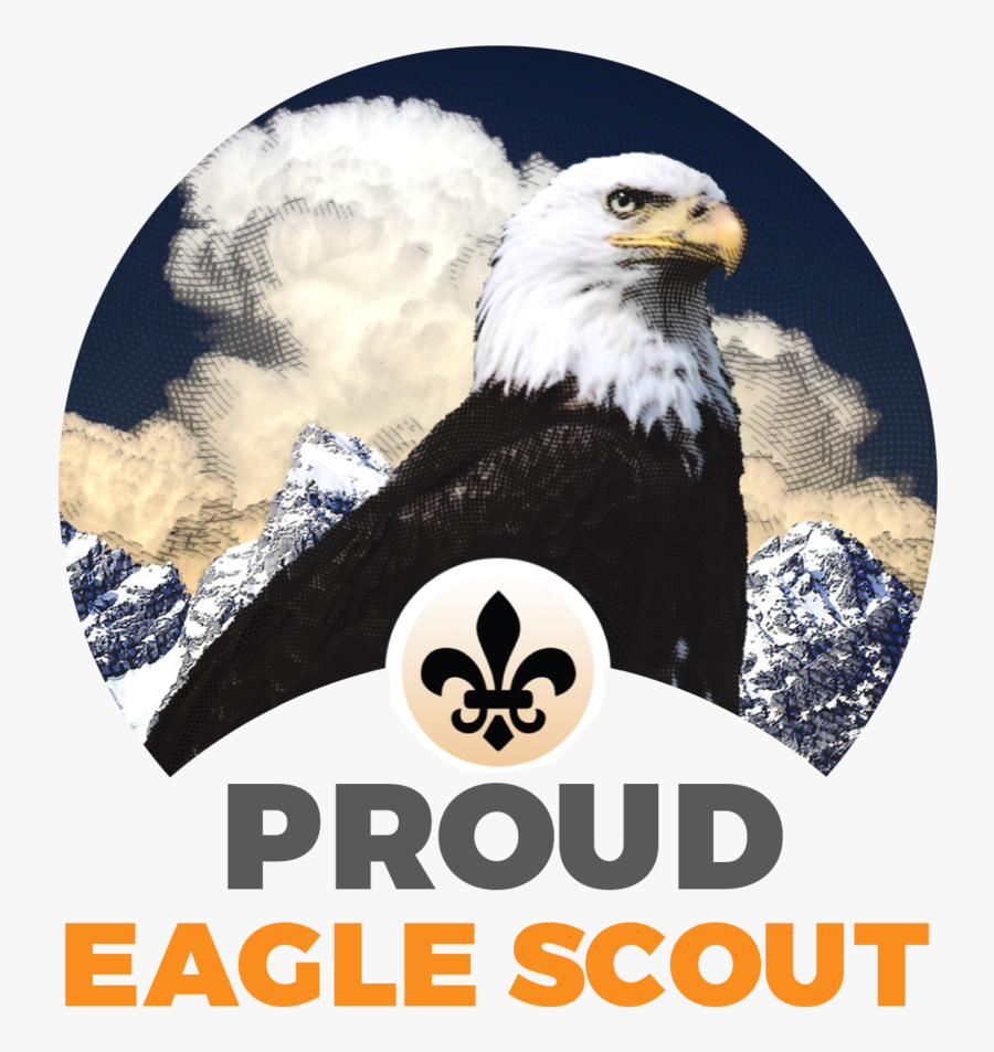 Eagle Scout, Transparent Clipart