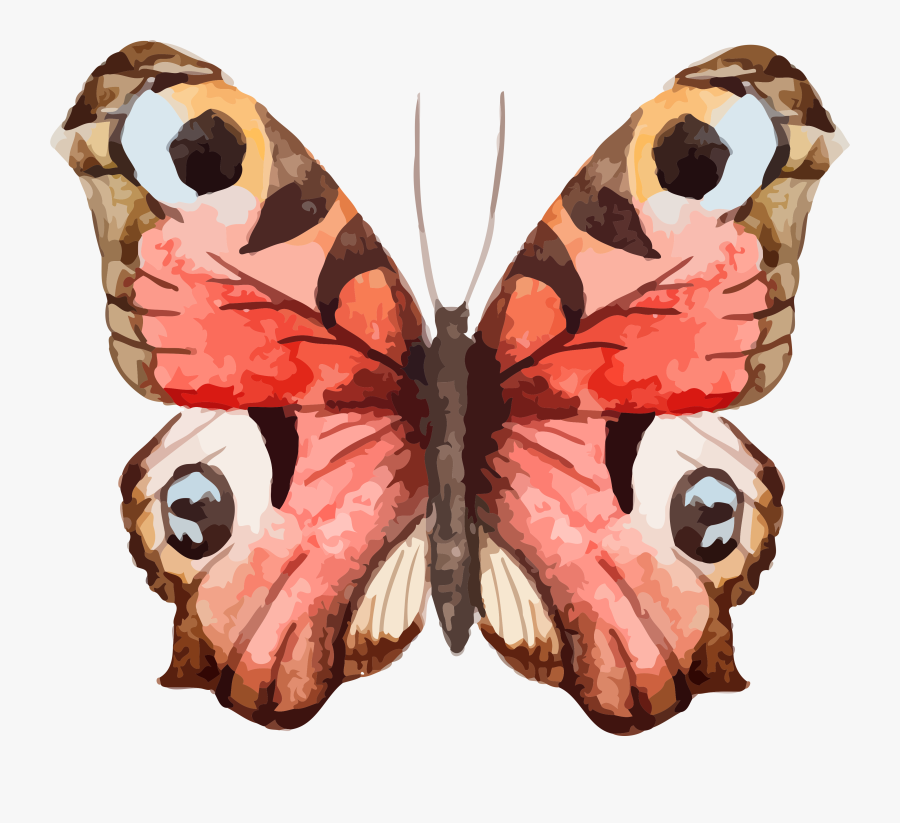 Butterfly Illustration Watercolor Free, Transparent Clipart